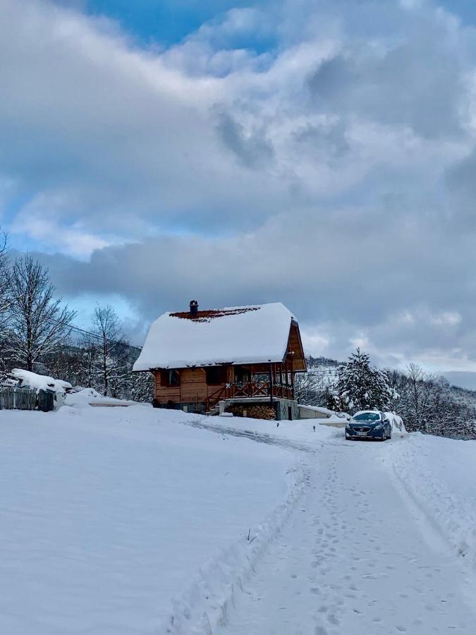 Villa Reset Zlatibor Bagian luar foto