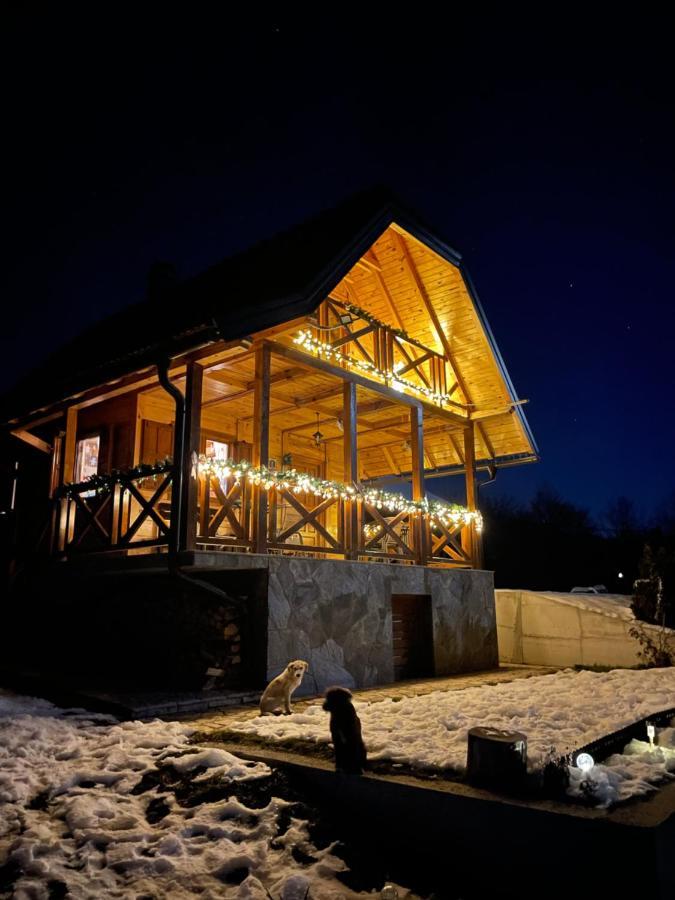 Villa Reset Zlatibor Bagian luar foto