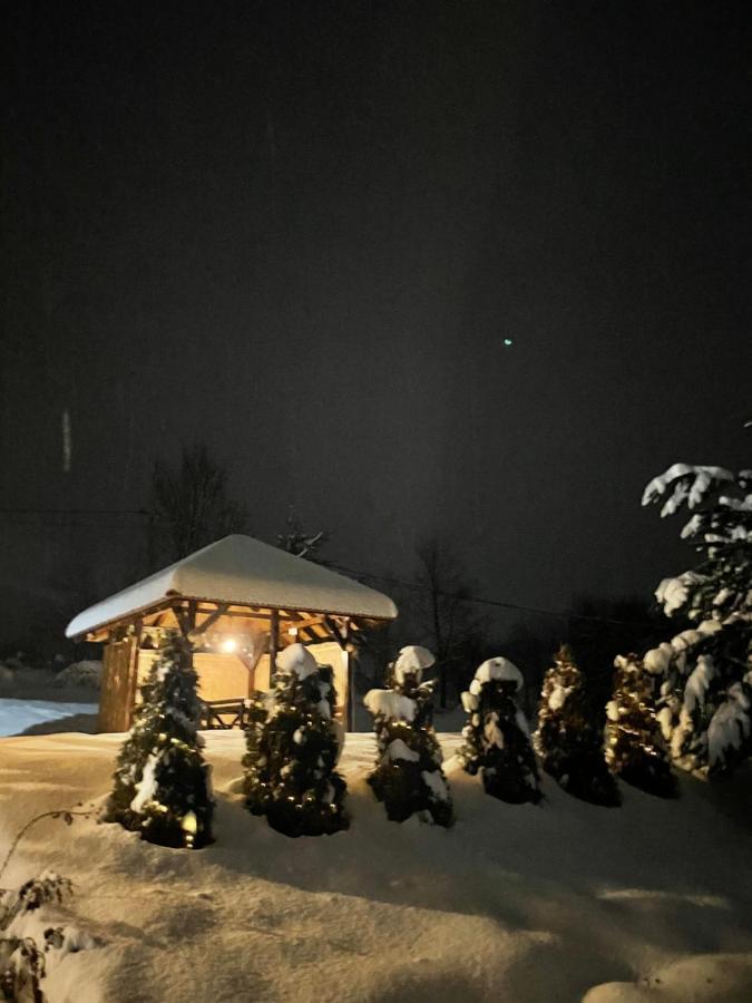 Villa Reset Zlatibor Bagian luar foto